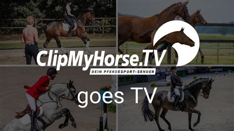 clip my horses live|clip my horse tv live stream login.